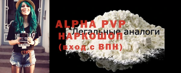 гидра Вязьма