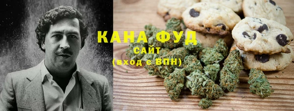 мдпв Волоколамск
