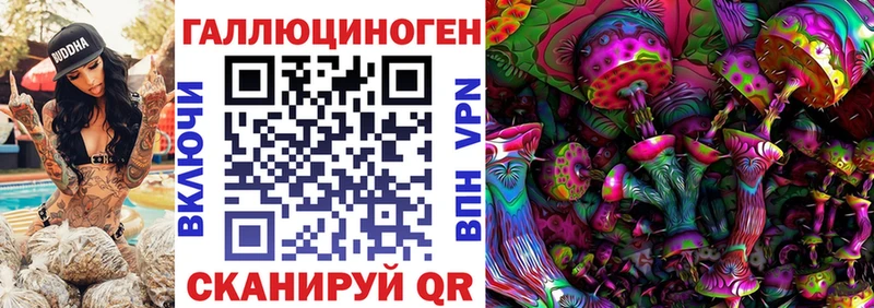 Купить где  Куртамыш  Галлюциногенные грибы мухоморы 